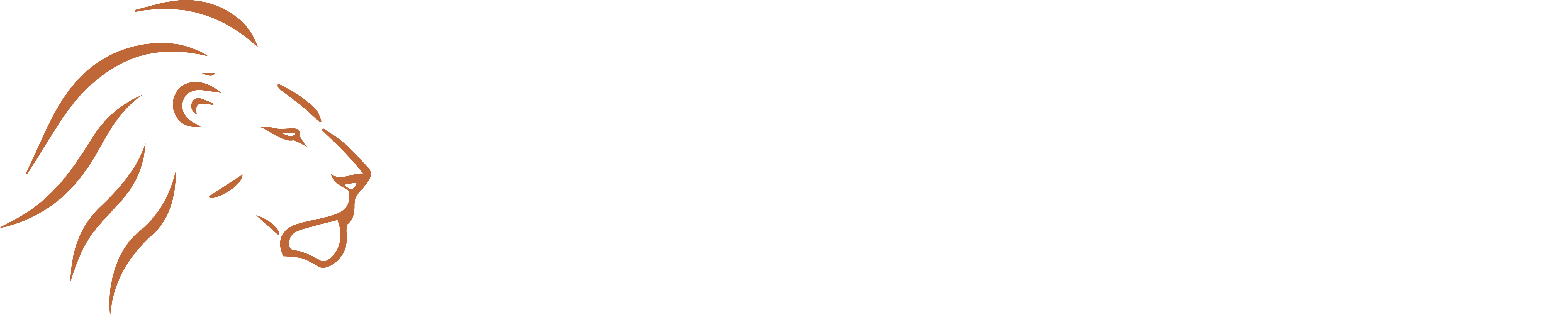 Emerson Di Leone